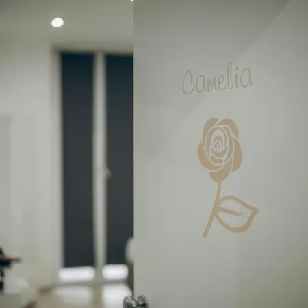 Dimora Fantasia Charme B&B Bari Esterno foto
